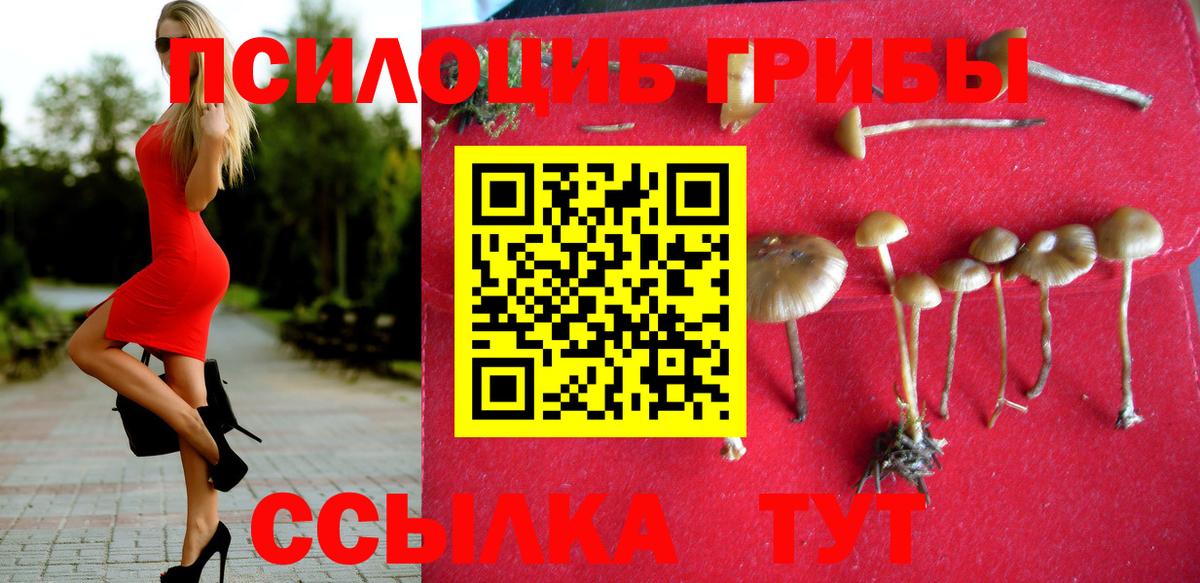 Ноябрьск  хочу наркоту  Вход с VPN  Галлюциногенные грибы мухоморы 