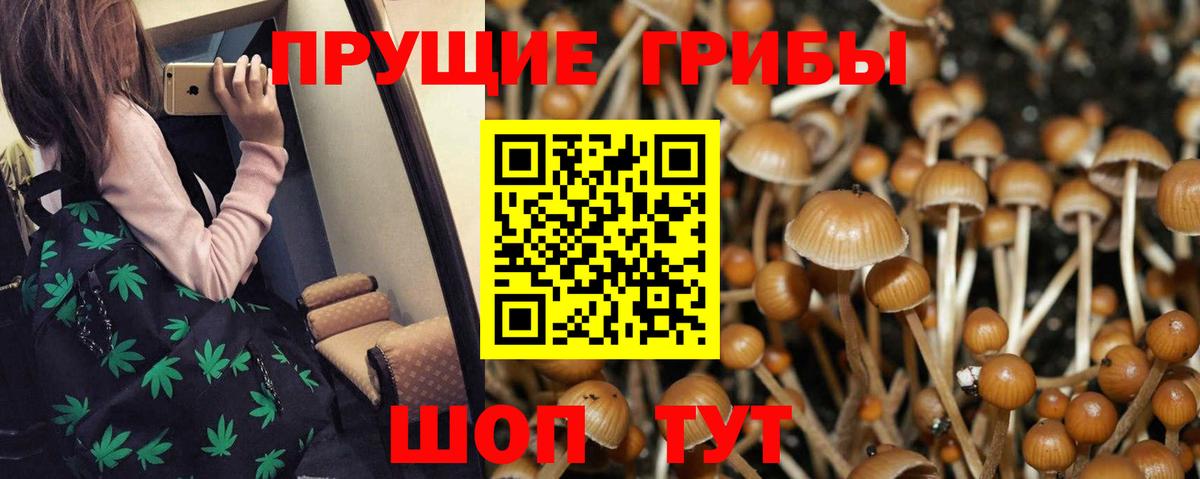 Псилоцибиновые грибы мицелий Ноябрьск